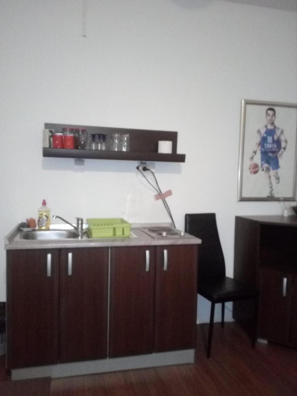 Apartment Viktor Stan Na Dan Šabac エクステリア 写真